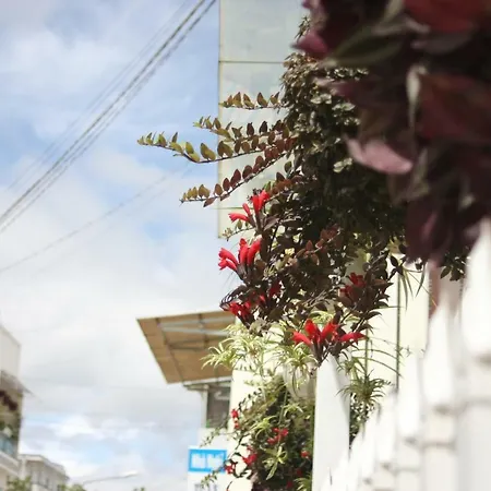 Cherry House Da Lat Exterior photo